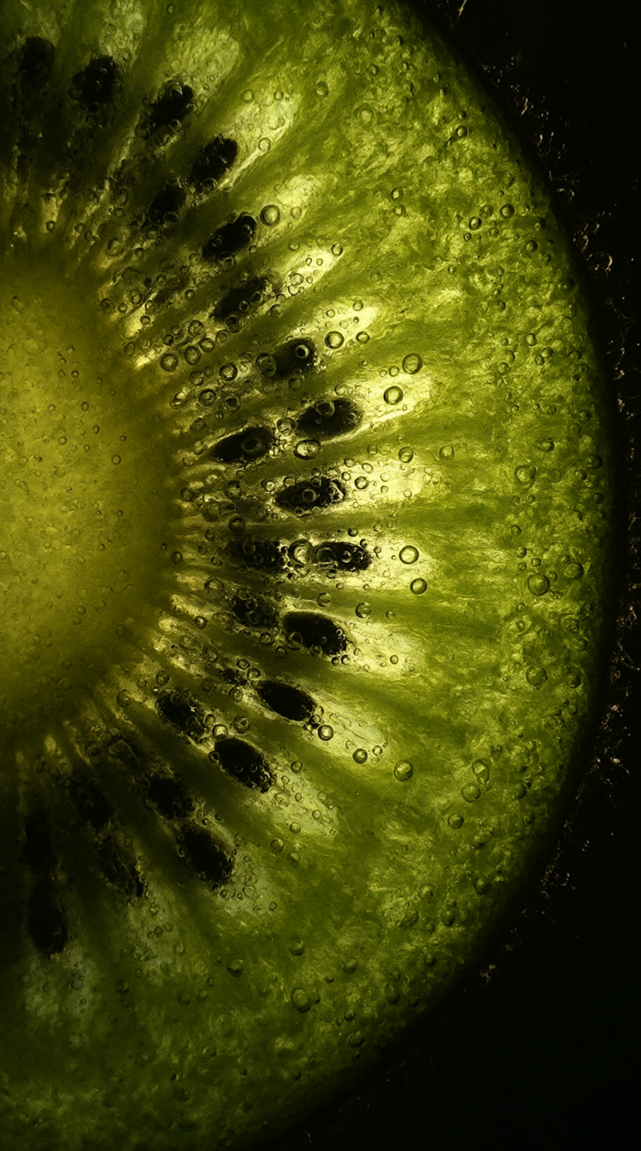 Qwen Image 2.1 - Prompt 11